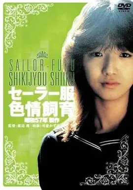文艺电影推荐《南方来信》海报